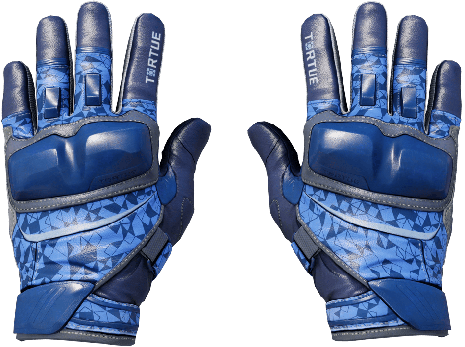 Preview image 1 of ★ Moto Gloves | Polygon (Factory New)