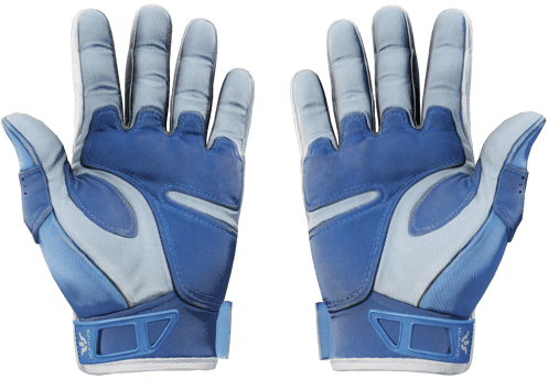 Preview image 2 of Luvas Esportivas (★) | Anfíbia (Factory new)