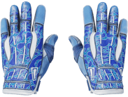 Sport Gloves | Amphibious image