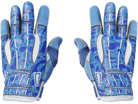 Sport Gloves | Amphibious