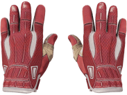Sport Gloves | Slingshot image
