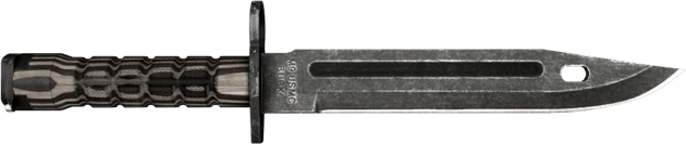★ StatTrak™ Bayoneta | Laminado Negro (Algo desgastado)