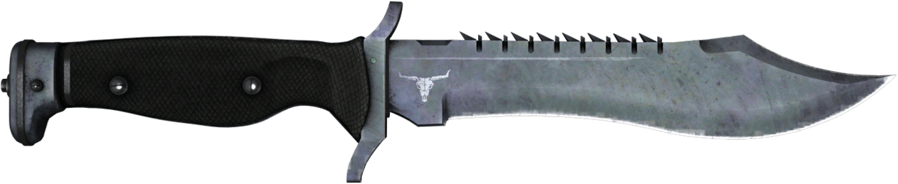 Preview image 2 of Coltello Bowie ★ | Blue Steel (Usura minima)