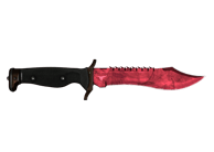 Bowie Knife | Doppler Ruby image