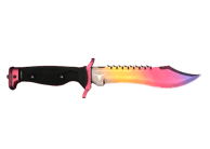 Bowie Knife | Fade image