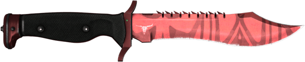 ★ StatTrak™ Bowie Knife | Slaughter (Field-Tested)