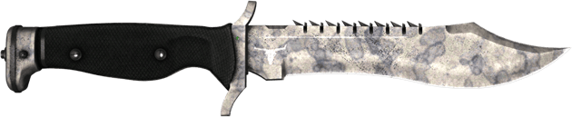 ★ Couteau Bowie | Tacheté (Marquée par les combats)