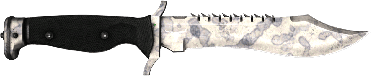 Preview image 2 of ★ StatTrak™ Bowie Knife | Stained (Field-tested)