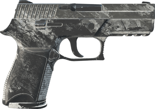 Preview image 2 of P250 | Sleet (Battle-Scarred)