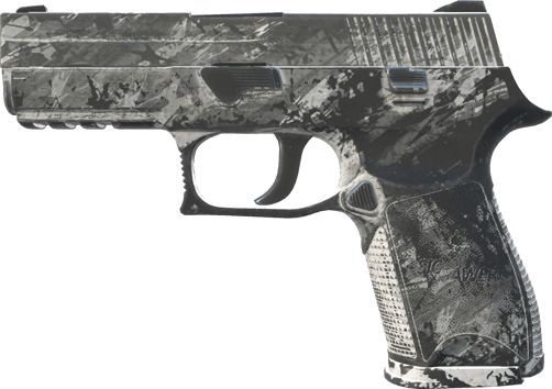 P250 | Sleet (Battle-Scarred)