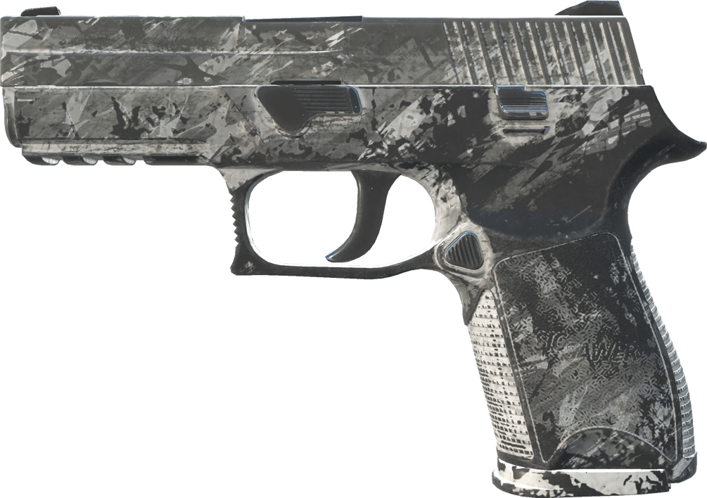 Preview image 1 of P250 | 冻雨 (战痕累累)