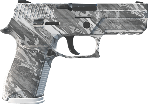 Preview image 2 of P250 | Sleet (Factory New)