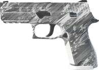 P250 | Sleet P250 | Sleet image