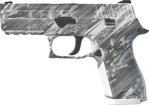P250 | Sleet (Factory New)