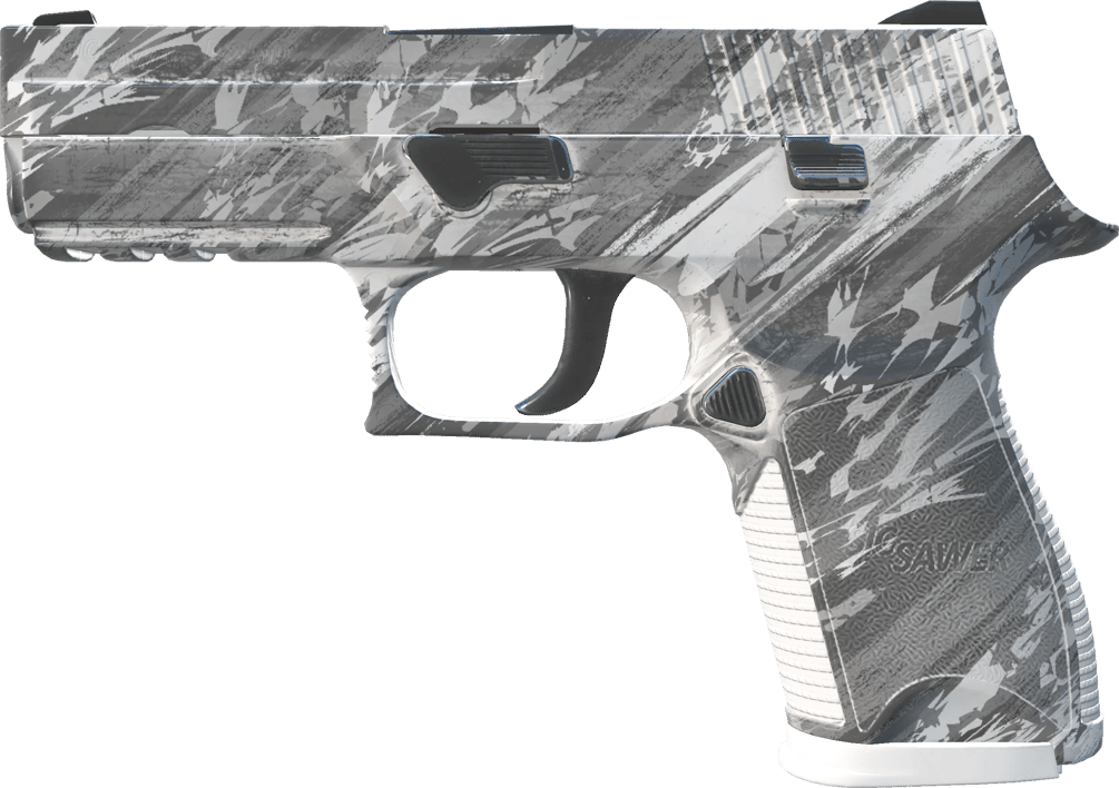 Preview image 1 of P250 | Sleet (Nuovo di fabbrica)