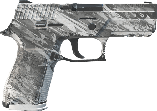 Preview image 2 of P250 | Sleet (Field-Tested)