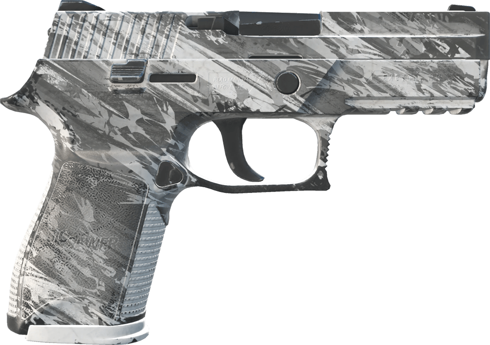 Preview image 2 of P250 | Sleet (Field-Tested)