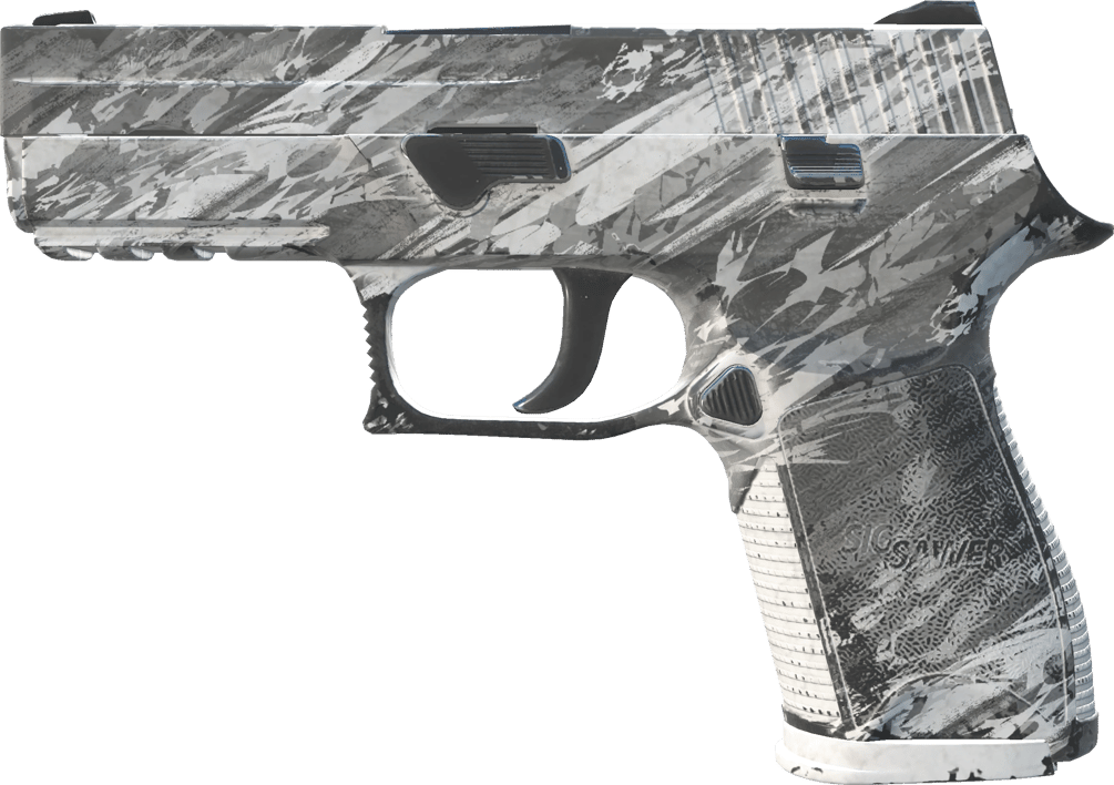 Preview image 1 of P250 | Sleet (Field-Tested)