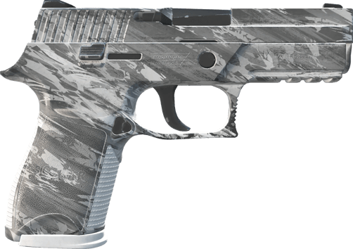 Preview image 2 of P250 | Sleet (Minimal Wear)