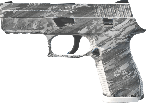 P250 | Sleet (Minimal Wear)