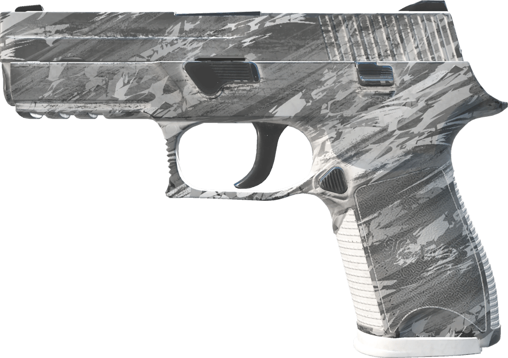 Preview image 1 of P250 | Graupel (Minimale Gebrauchsspuren)