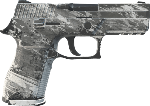 Preview image 2 of P250 | Sleet (Well-Worn)