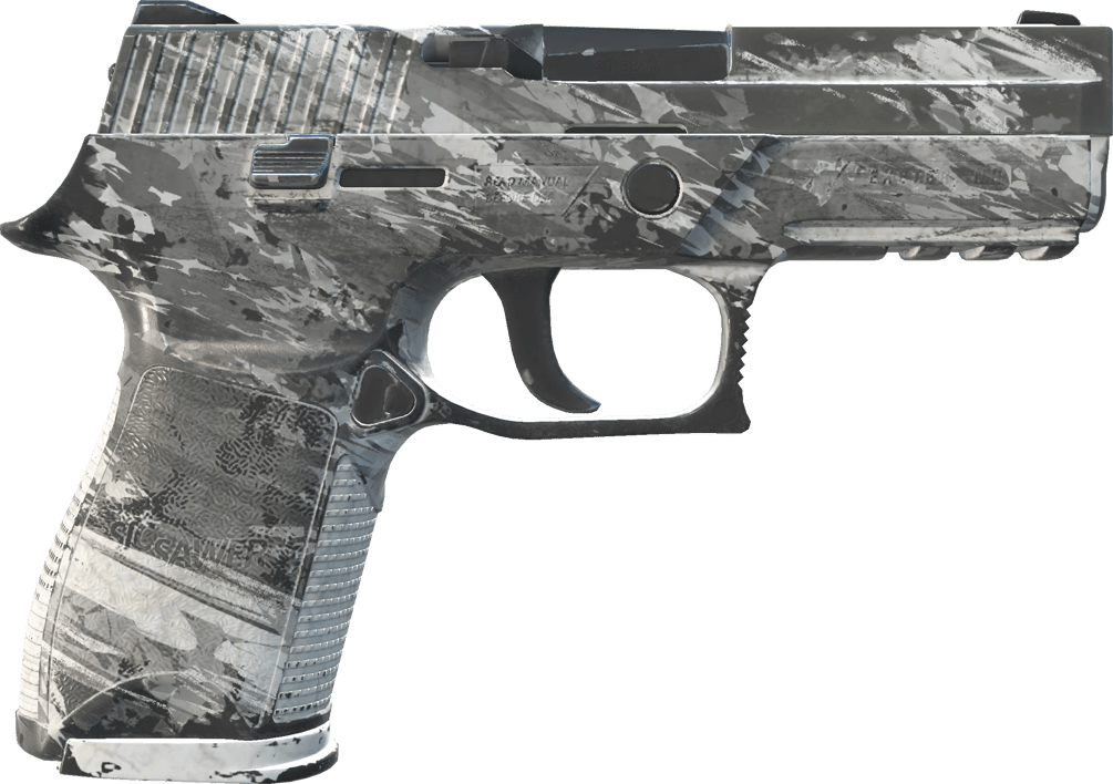 Preview image 2 of P250 | Sleet (Well-Worn)