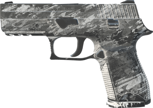 P250 | Sleet (Well-Worn)