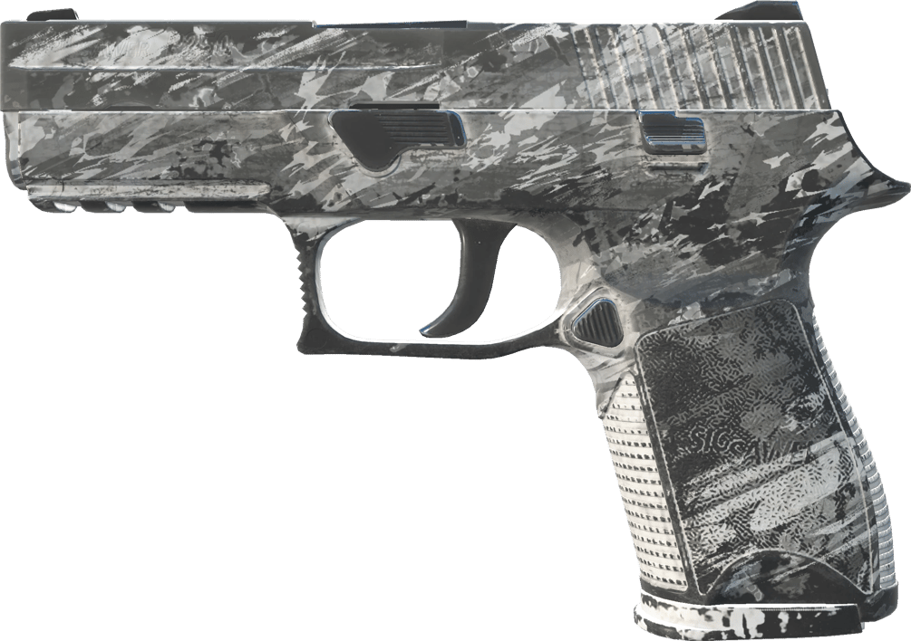 Preview image 1 of P250 | Sleet (Well-Worn)