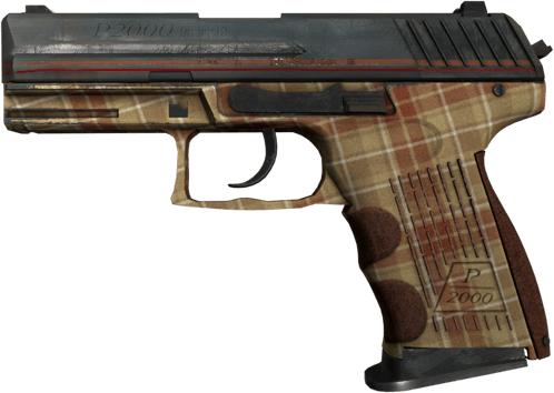 P2000 | Classe économique (Testée sur le terrain)