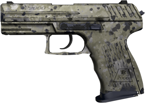 Souvenir P2000 | 堅韌大理石 (輕微磨損)