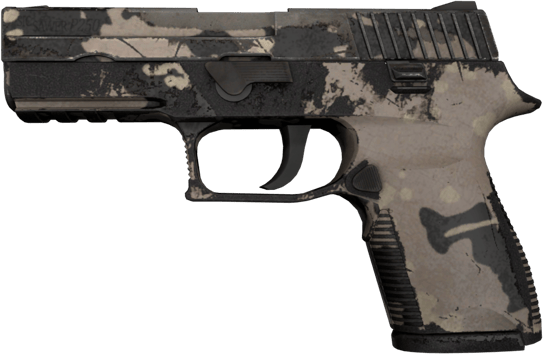 P250 | Black & Tan (戦いで傷ついた)