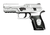 P250 | Cartel P250 | Cartel image