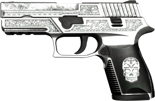 StatTrak™ P250 | Cartel (FT - Qua thực chiến)