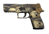 P250 | Contamination image