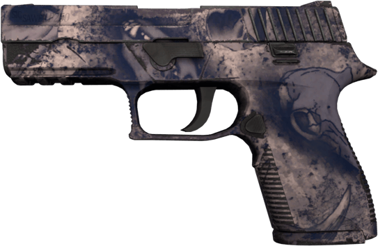 Souvenir P250 | Sècheresse (Testée sur le terrain)