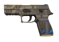 P250 | Exchanger image