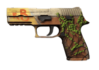 P250 | Inferno image