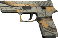 P250 | Modern Hunter image