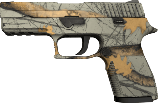 P250 | 现代猎手 (崭新出厂)