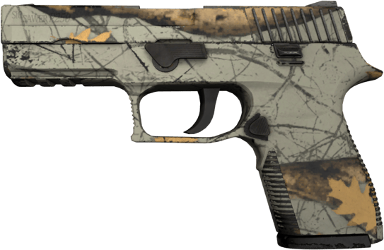 P250 | Chasseur moderne (Testée sur le terrain)