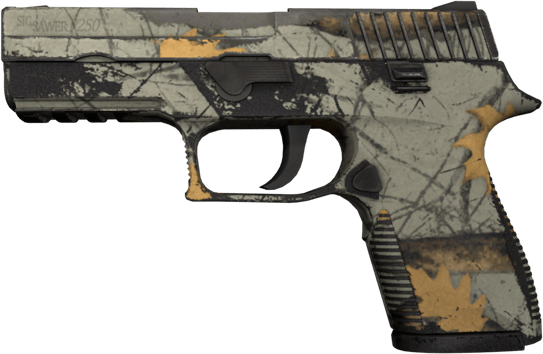 P250 | Modern Hunter (WW - Khá mòn)