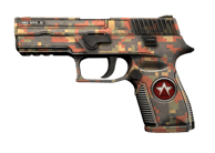 P250 | Red Rock image