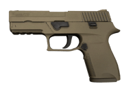 P250 | Sand Dune image