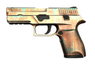 P250 | Verdigris image
