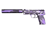USP-S | Purple DDPAT USP-S | Purple DDPAT image