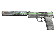 USP-S | Road Rash USP-S | Road Rash image