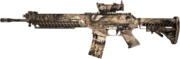 Souvenir SG 553 | 白骨 (久经沙场)