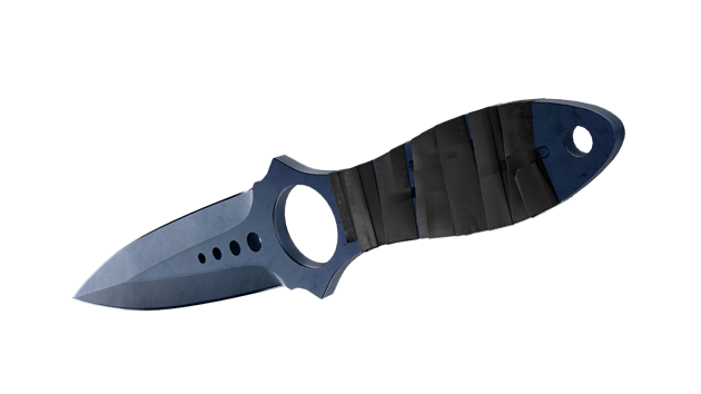 Preview image 3 of ★ Skeleton Knife | Blue Steel (Factory New)
