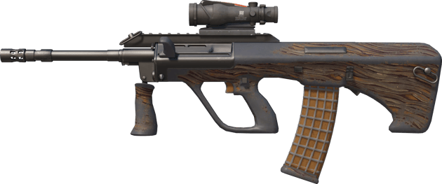 AUG | Spalted Wood (戦いで傷ついた)